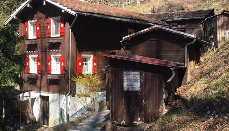 Bauernhaus mit Stall und Garten in Feldis