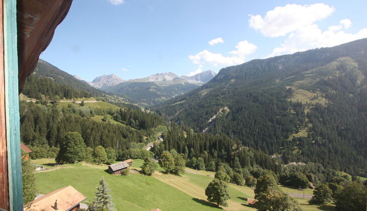 Bauernhaus mit Stall und Garten in Feldis