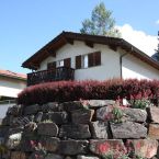 F2_Süd_mit Mauer.jpg