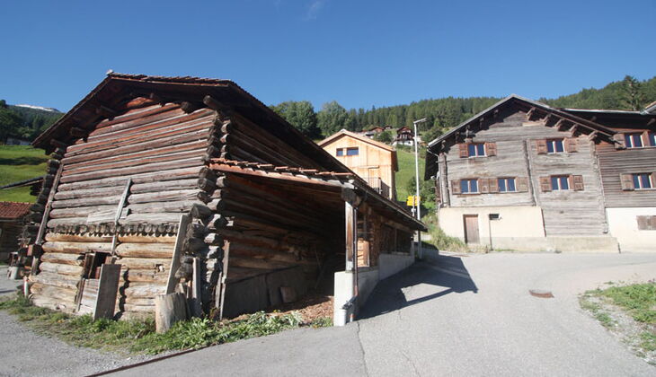 Bauernhaus mit Stall und Garten in Feldis
