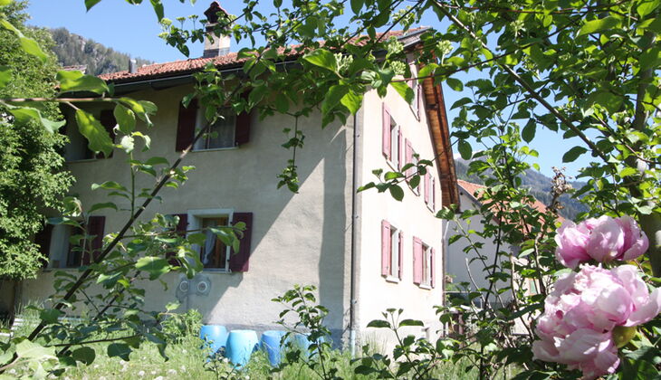 Bauernhaus mit Stall und Garten in Feldis