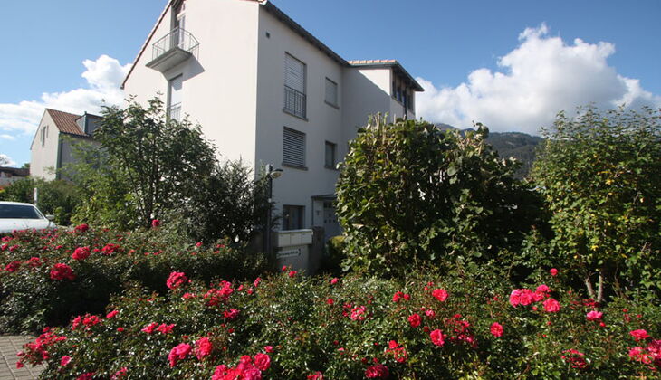 Bauernhaus mit Stall und Garten in Feldis