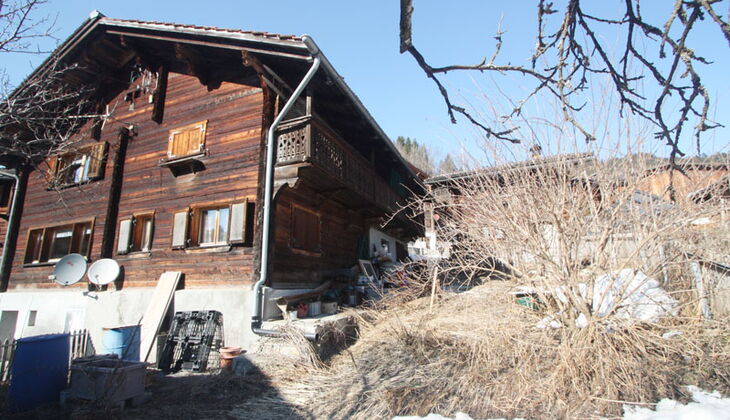 Bauernhaus mit Stall und Garten in Feldis
