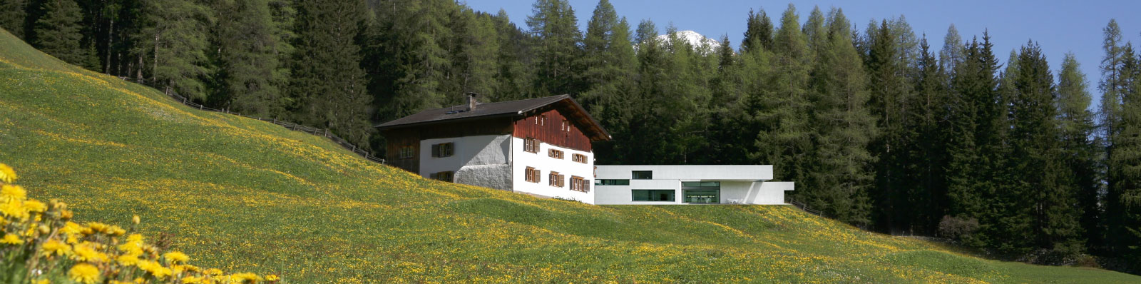 Welcher Wohntyp sind Sie?